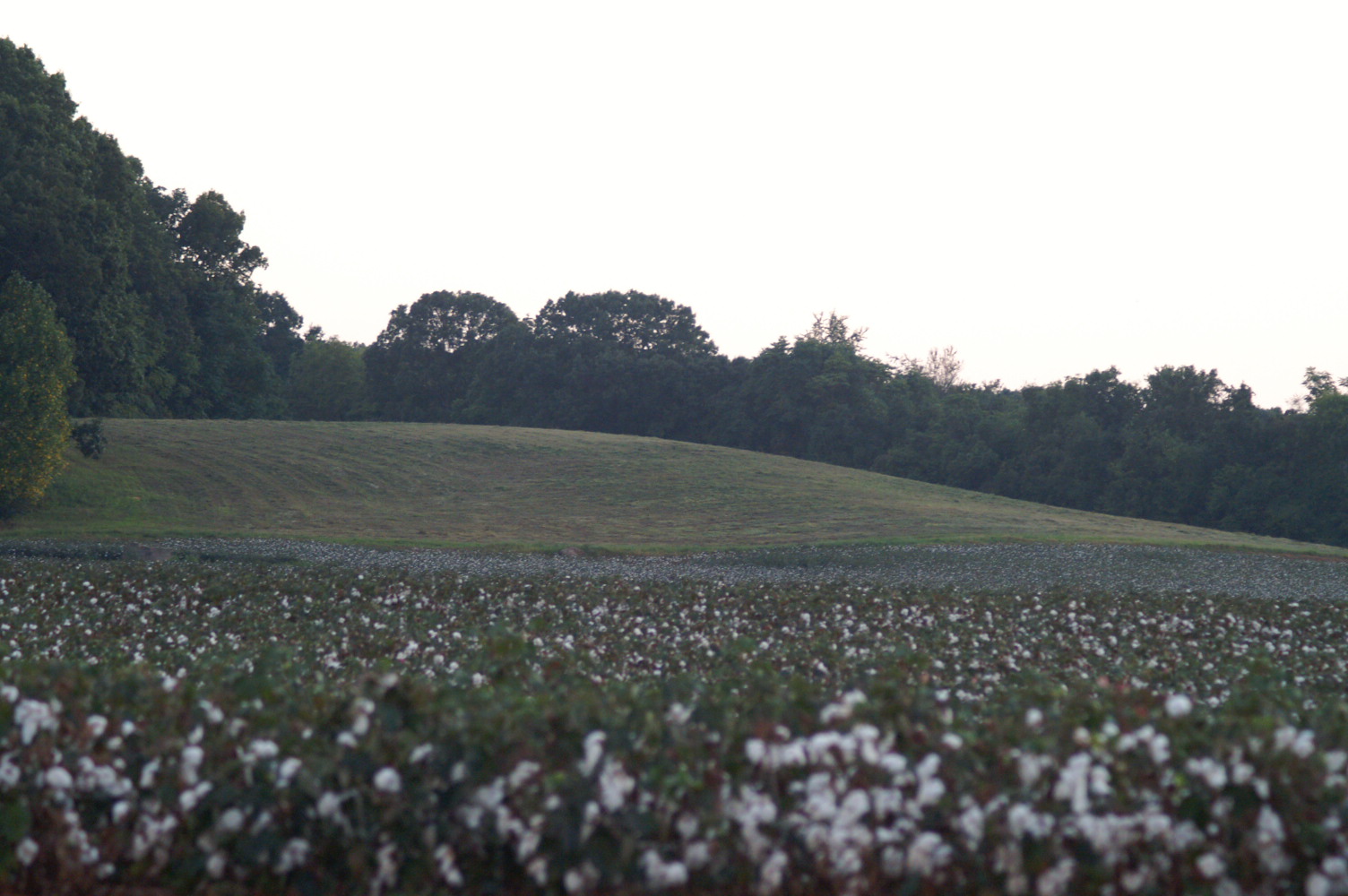 huntsville al homes for sale